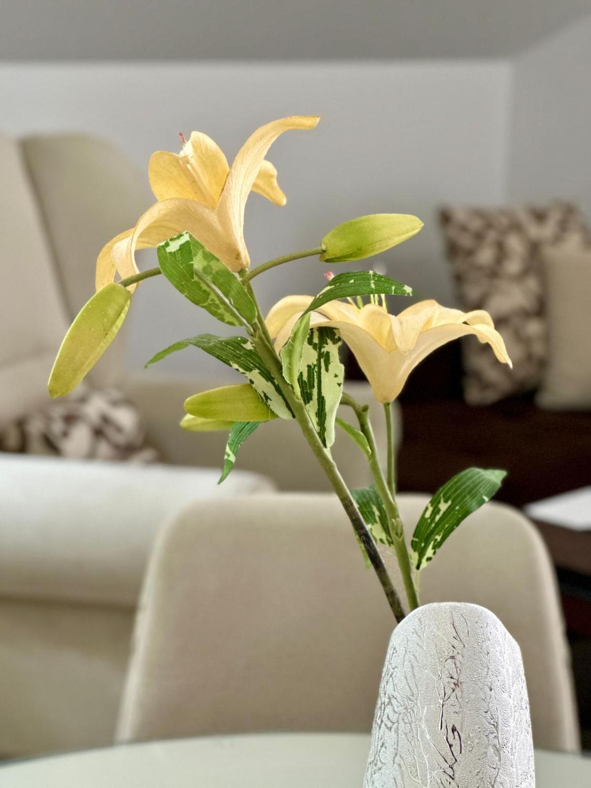 Apartments Teodo מראה חיצוני תמונה